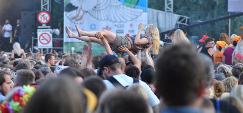 Ruisrock