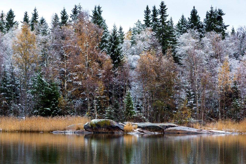 Фото: Vastavalo / Jaakko Vähämäki / VisitFinland