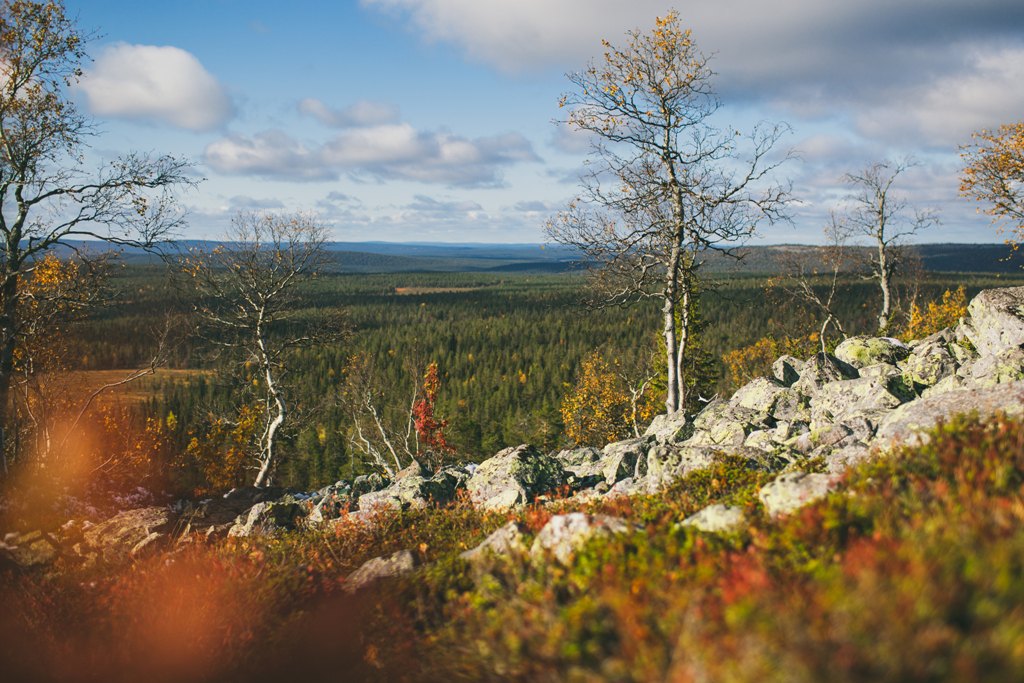 Фото: Taipale Brothers / VisitFinland
