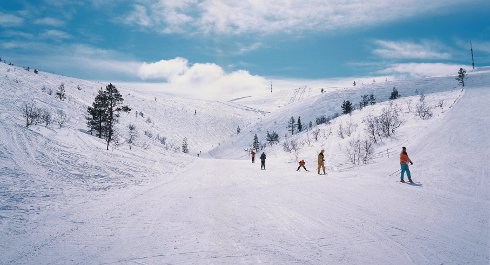 Рука, Финляндия