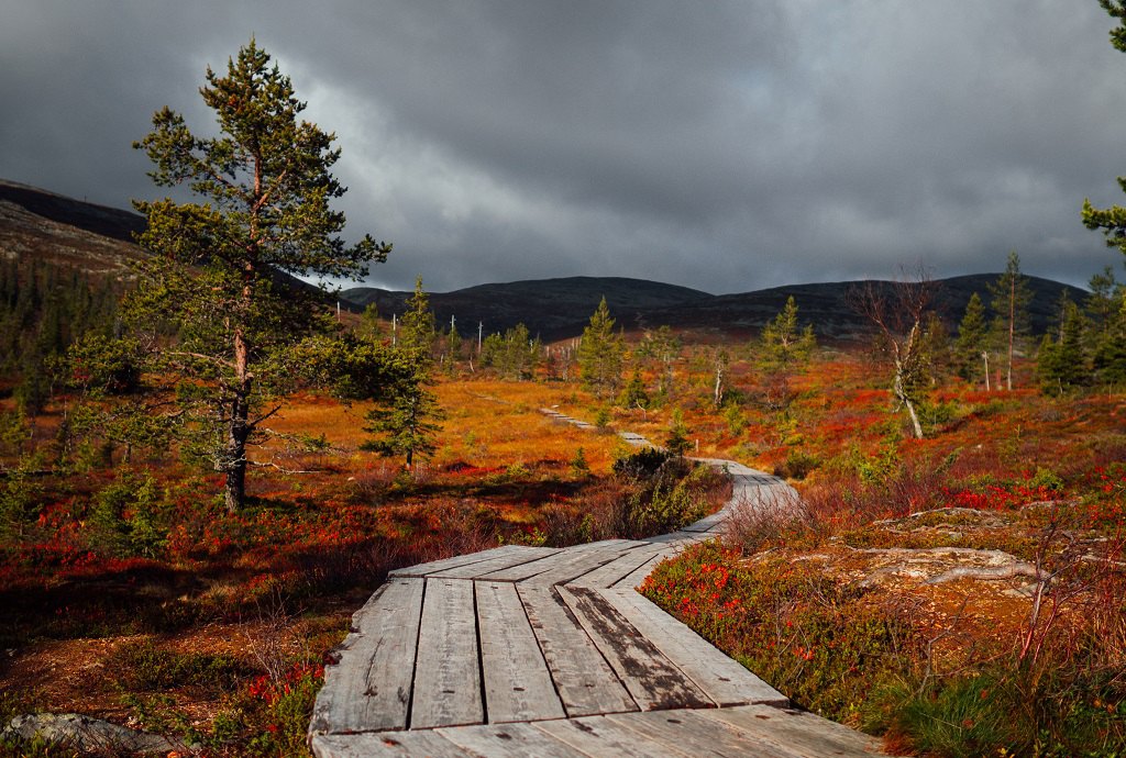 Фото: Julia Kivelä / Imagebank VisitFinland